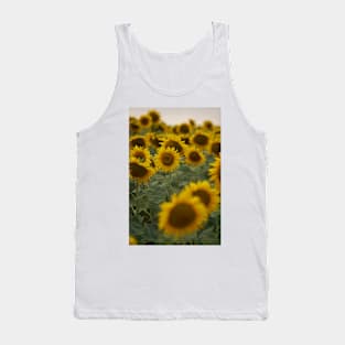 Sunflowers in closeup at sunset Tank Top